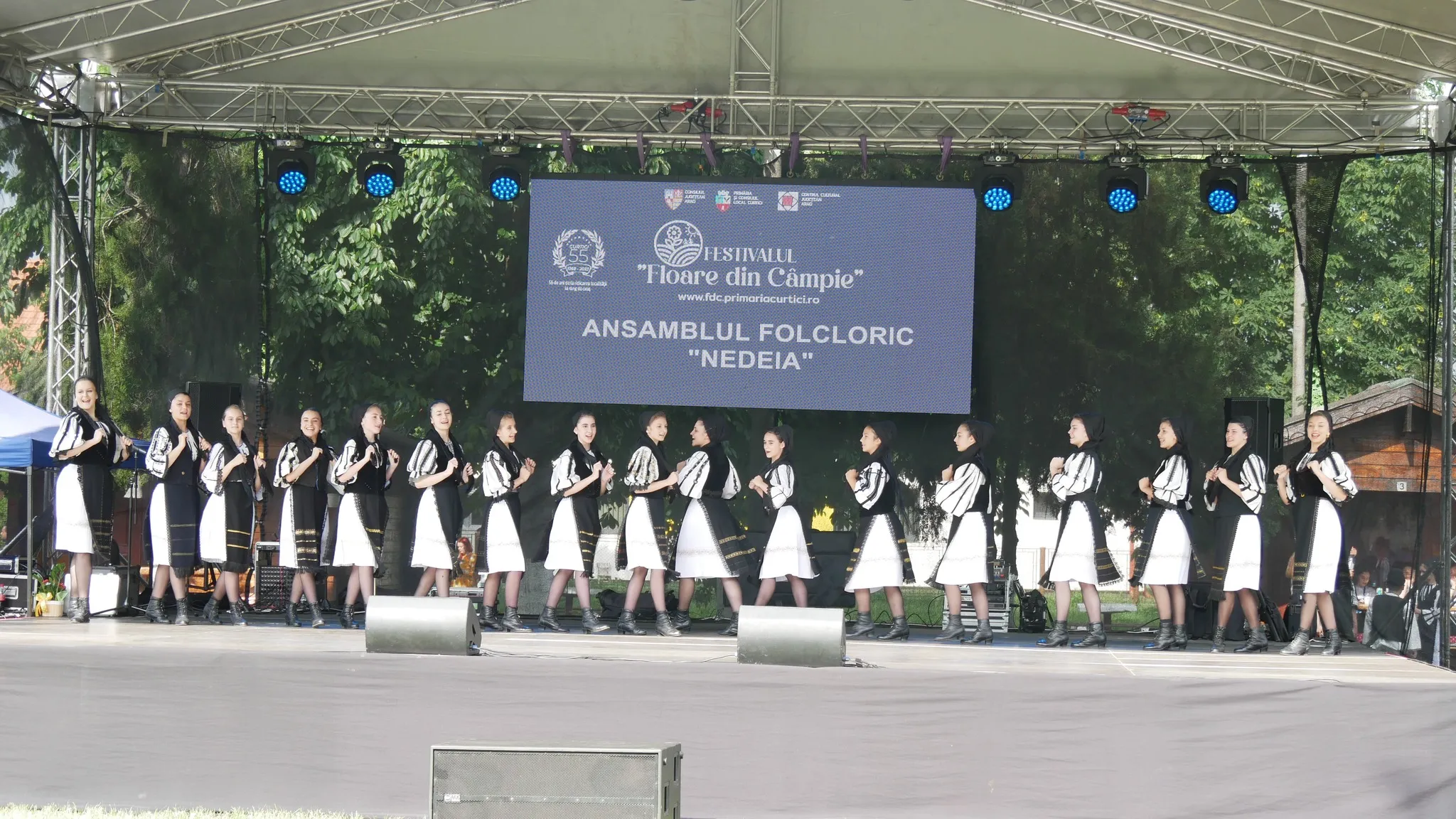Amintire de la Festival