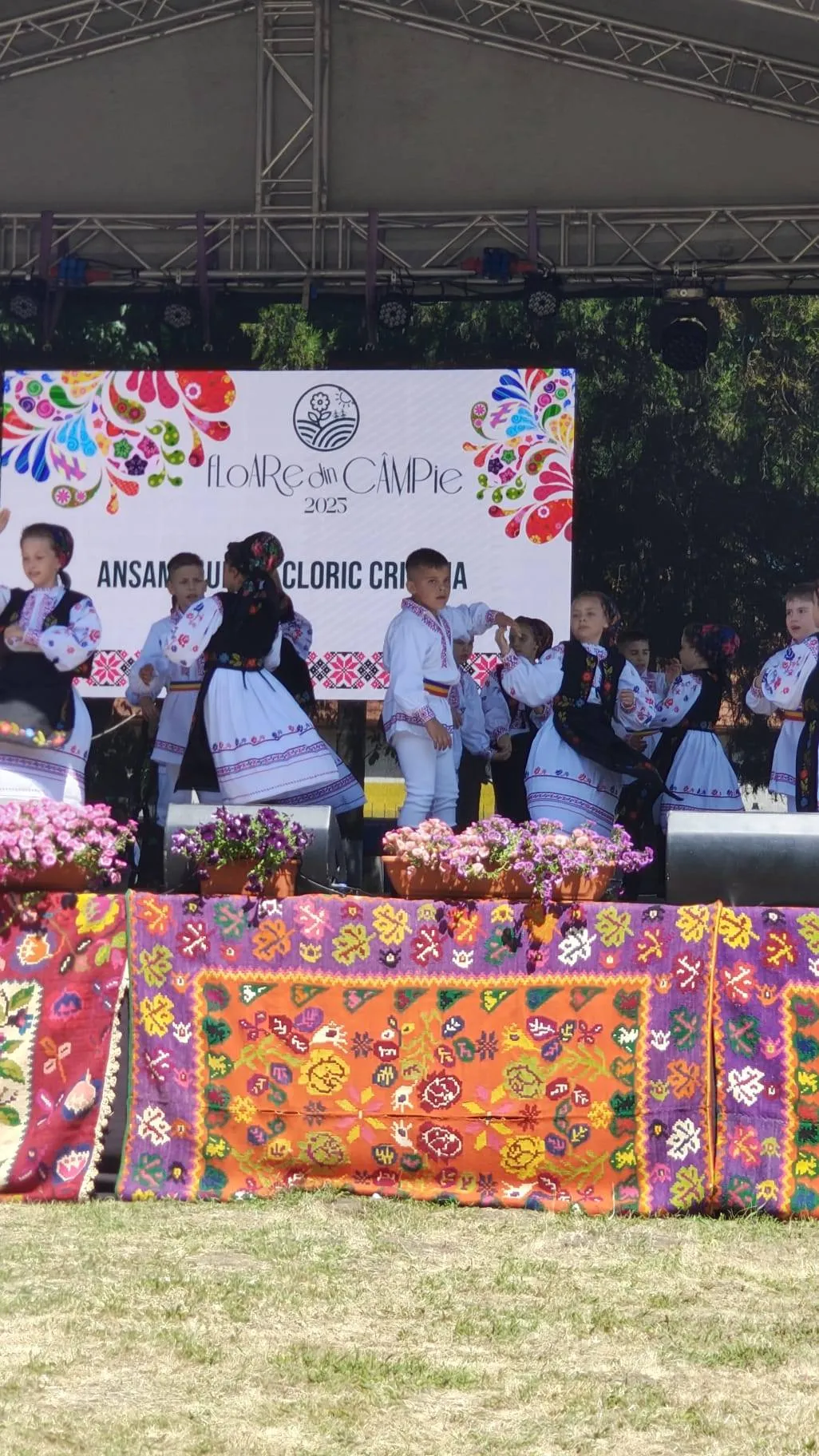 Amintire de la Festival